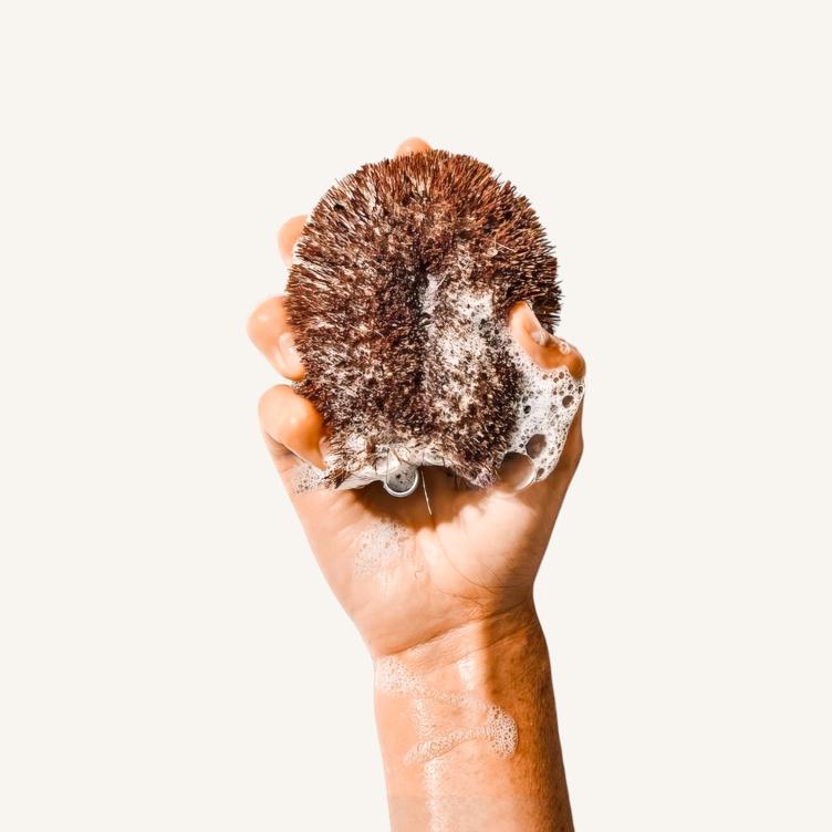 Tawashi Bürste – Kamenoko