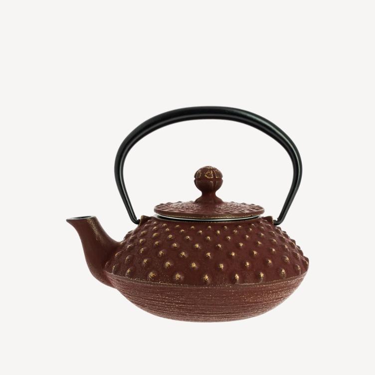 Teapot - Iwachu golden brown (320ml)