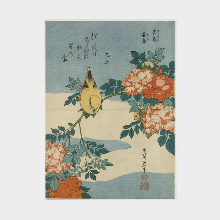 Hokusai - Nachtigall