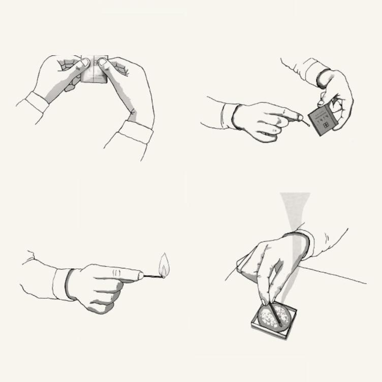 DEEP – AMBERGRIS - 3