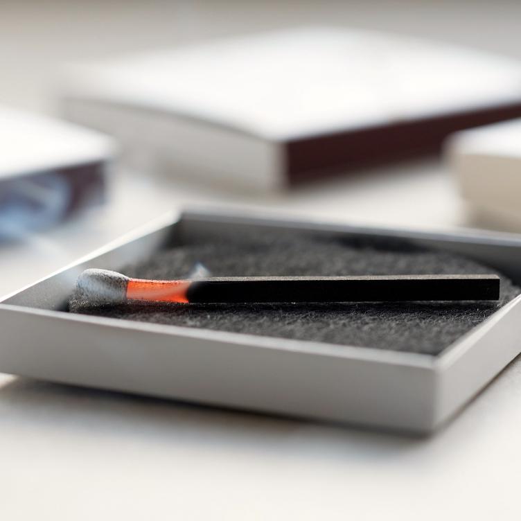 GARDEN – MIMOSA - 3