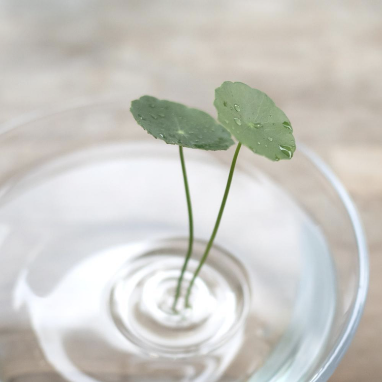 Floating Vase – Ripple - 1