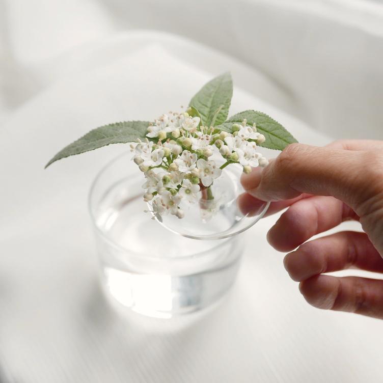 Floating Vase – Ripple - 0