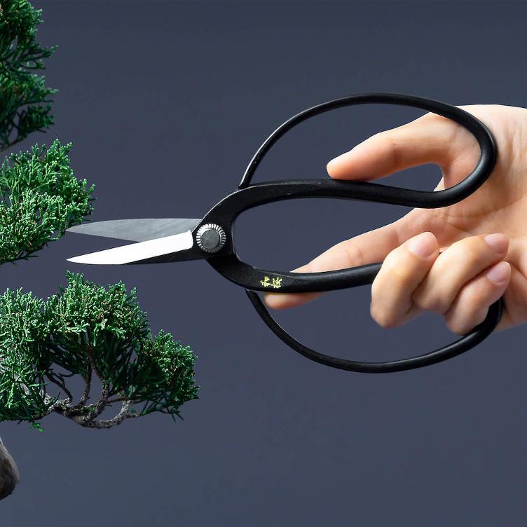 Bonsai & Ikebana Schere - 0