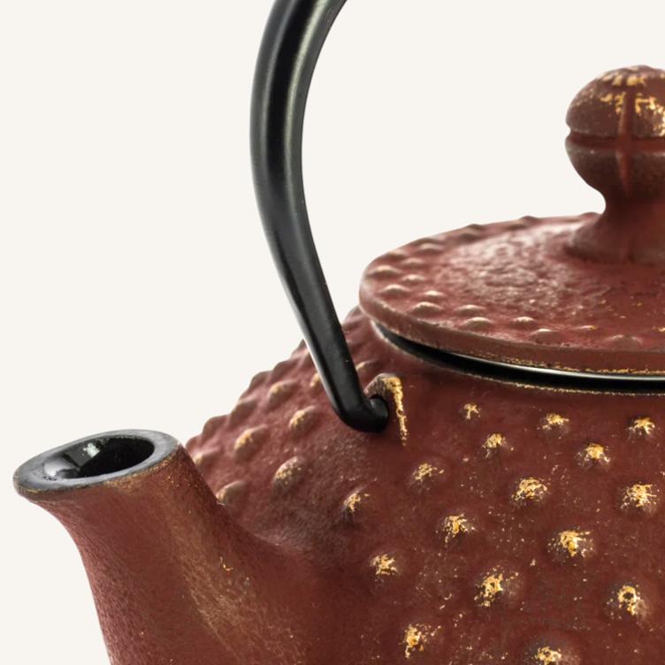 Teapot – Iwachu Golden Brown (320ml) - 0