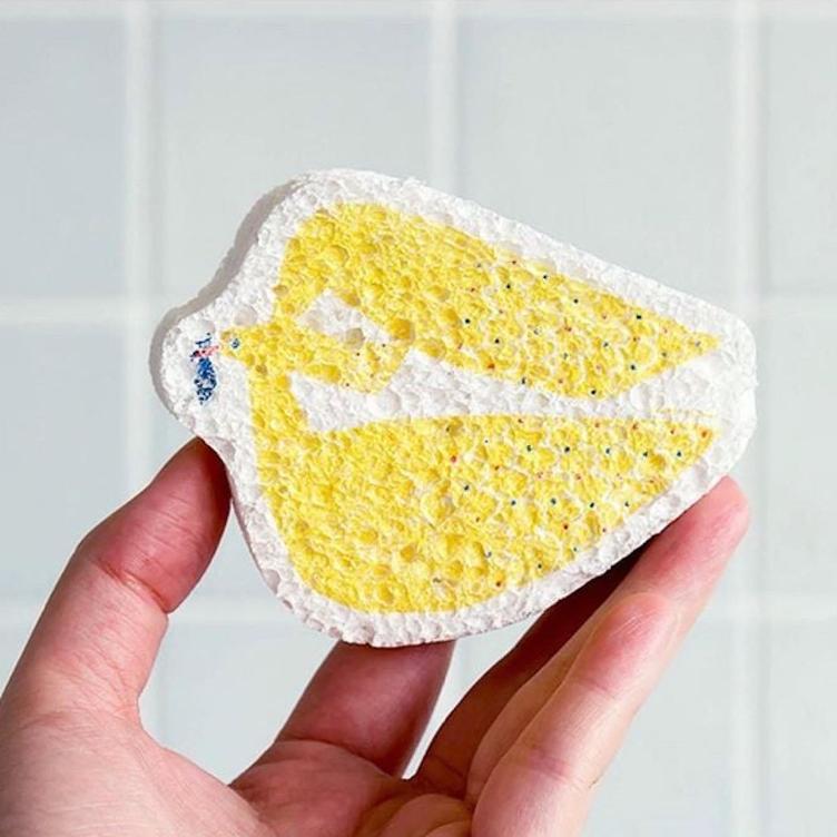 Pop-up Sponge - Möwe - 0