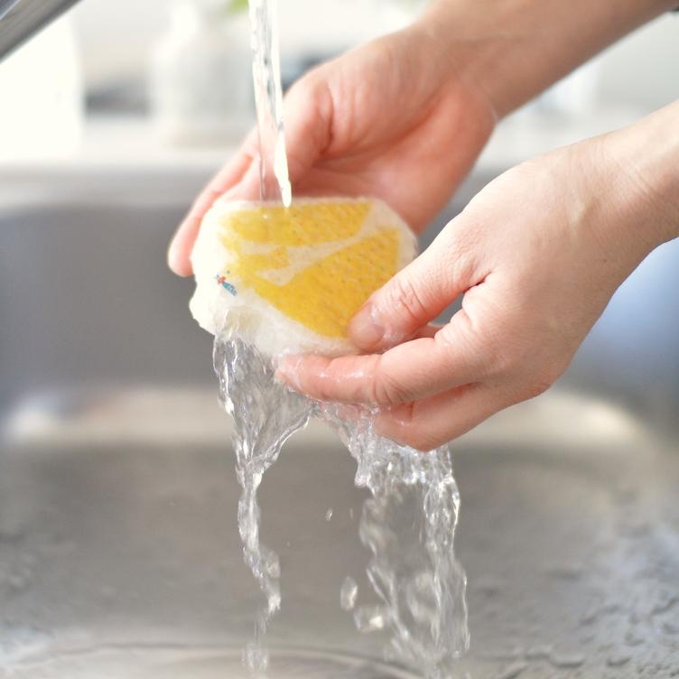 Pop-up Sponge – Möwe - 0