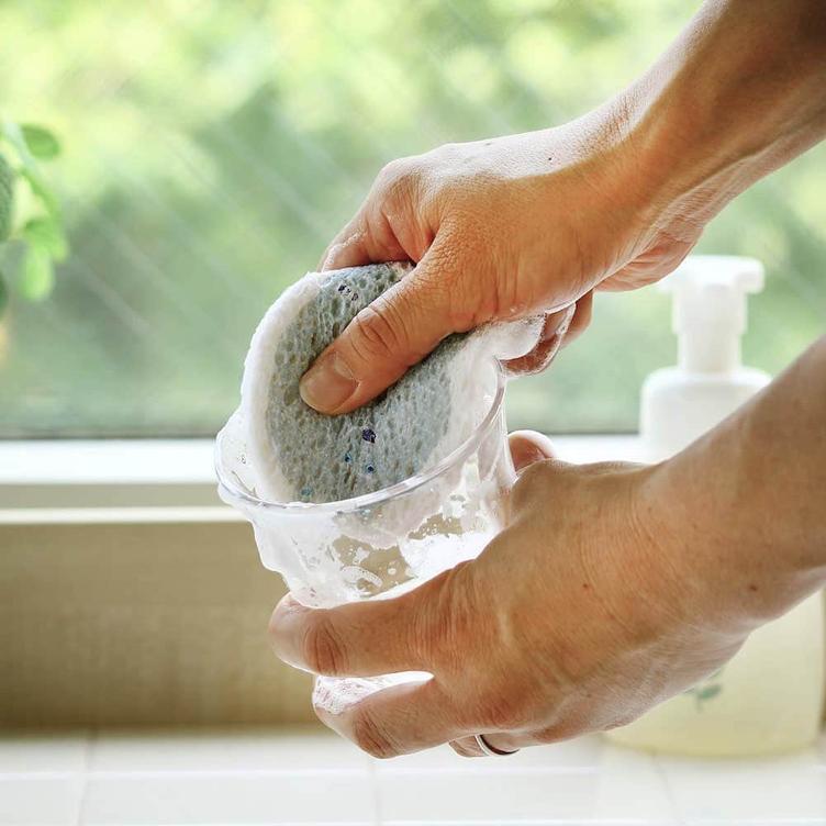 Pop-up Sponge – Bär - 1