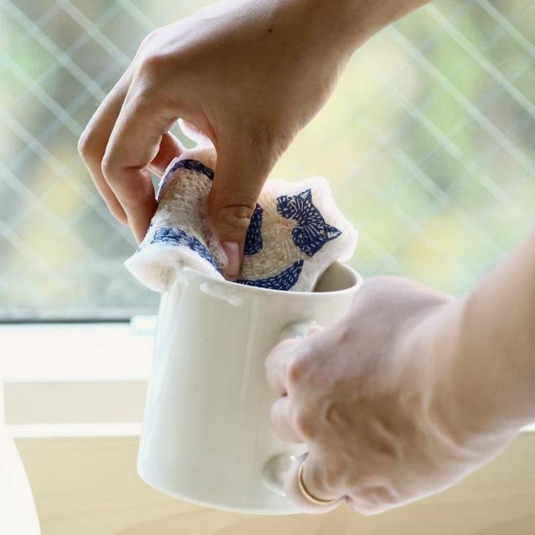Pop-up Sponge – Cat - 1