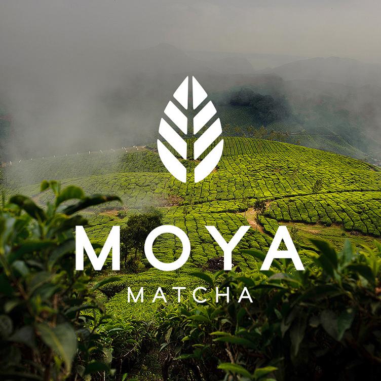 MOYA matcha