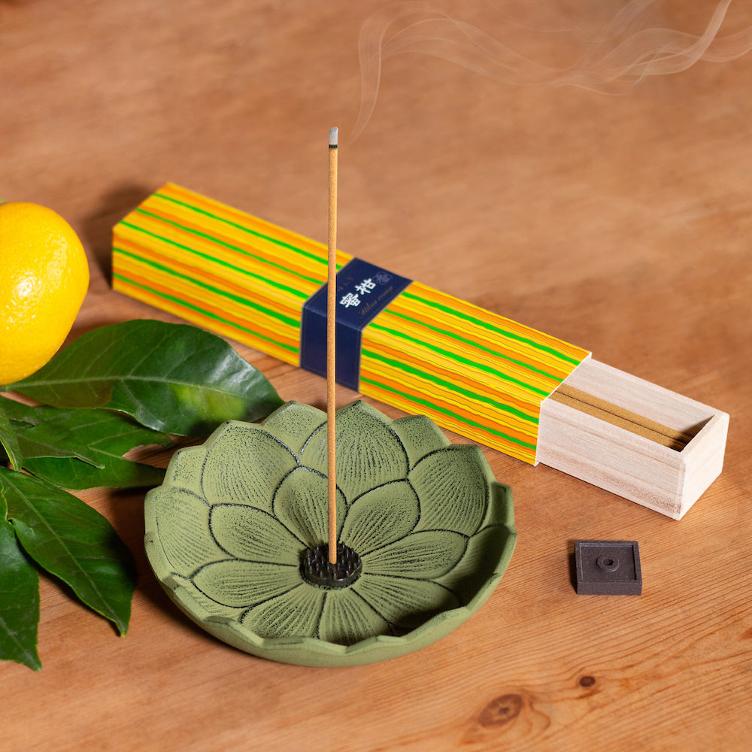 Kayuragi – Japanische Mandarine (Mikan) - 1