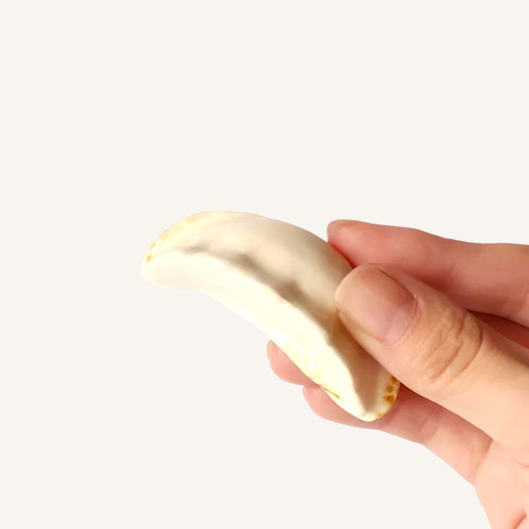 Hashioki – Gyoza - 0