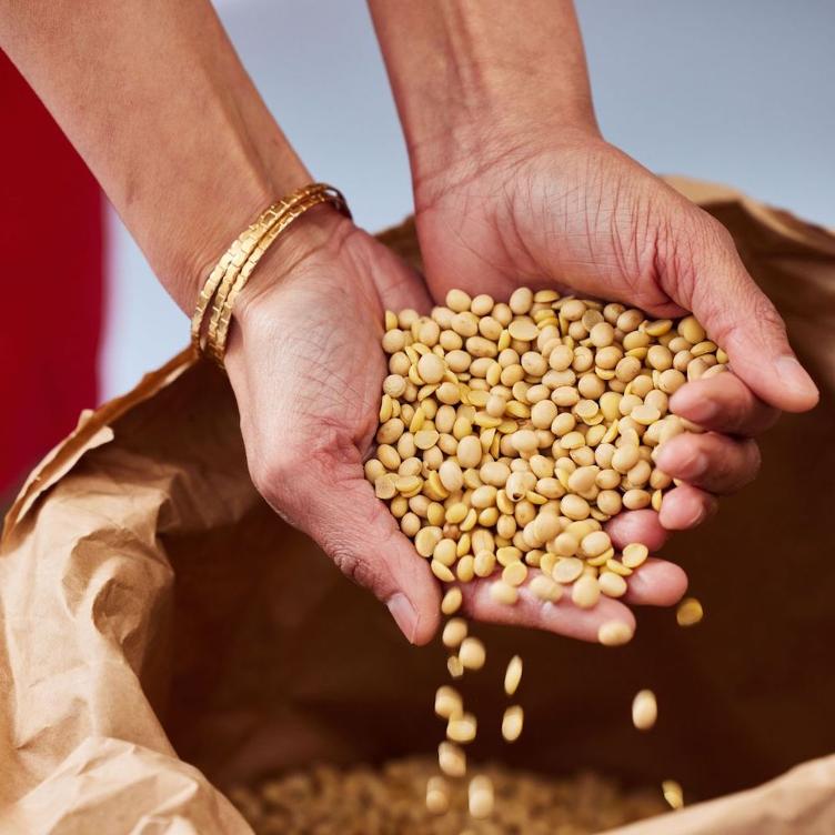 Koikuchi Shoyu – Dunkle Sojasauce (250 ml) - 1