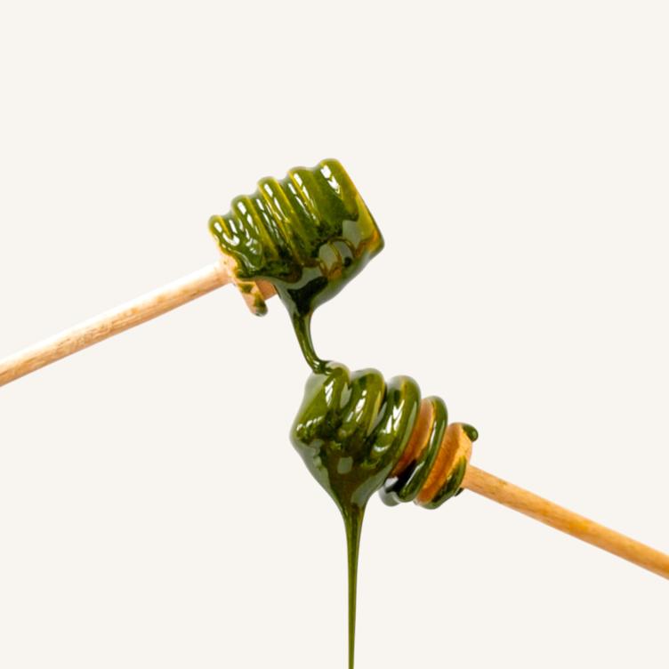 MOYA – Matcha Honig (200 g)