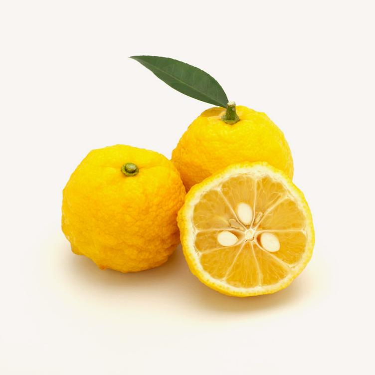 Yuzu Ryokucha - 1