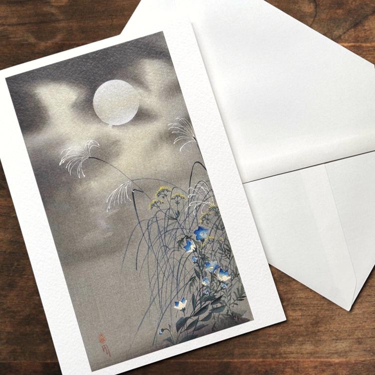 Faltkarte – Gräser und Blumen bei Vollmond