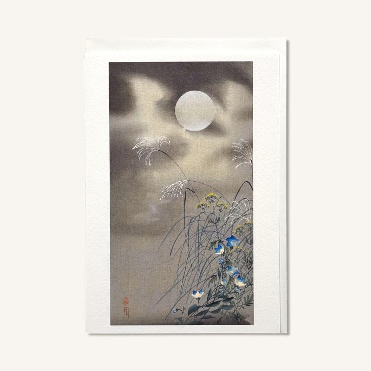 Faltkarte – Gräser und Blumen bei Vollmond - 0