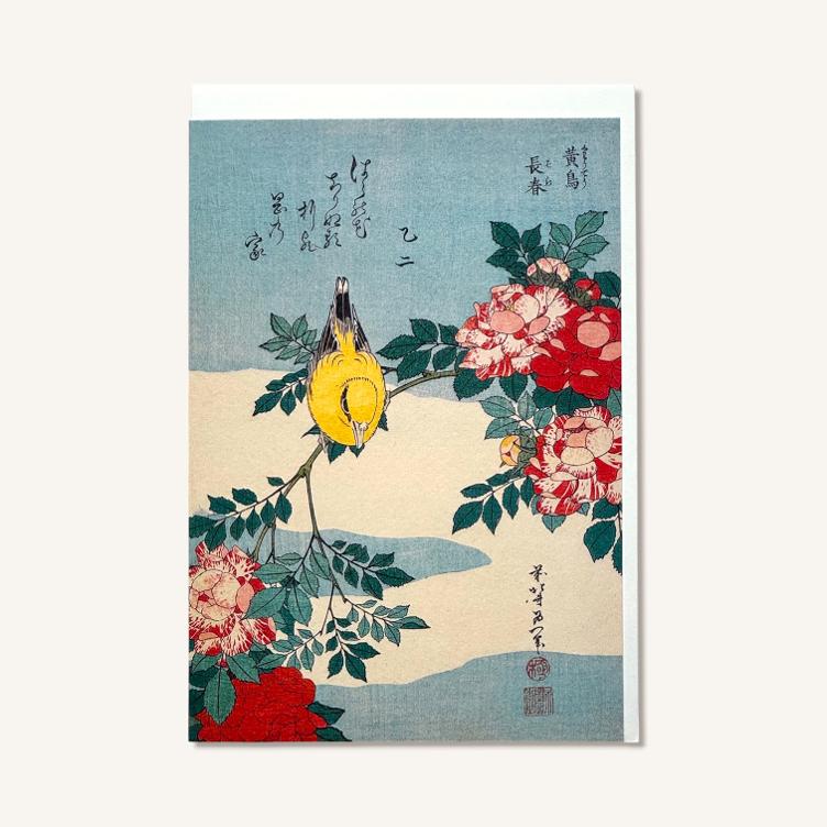 Folded Card – Nightingale - 0