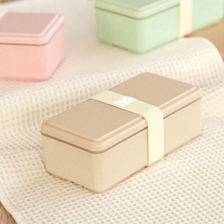 Bento Box – Gelato Green (500ml) - 2