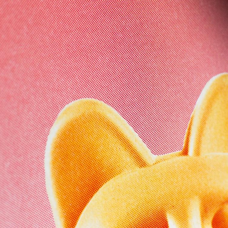 Risographie Artprint | Lucky Cat Peach - 3
