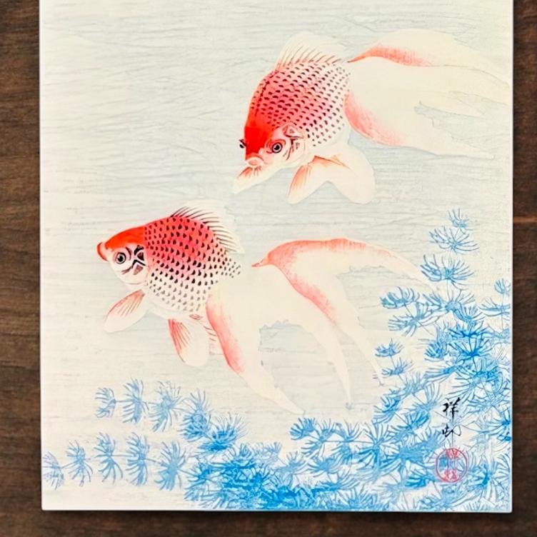 Collotypie-Postkarte – Goldfische - 0