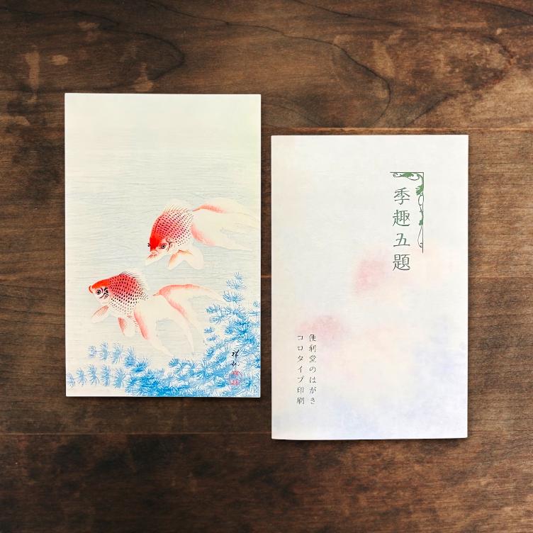 Collotypie-Postkarte – Goldfische