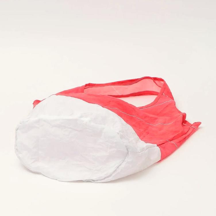 Eco Bag – Tuna Sushi - 1